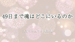 49 日 まで 魂 は どこに いる の スピリチュアル