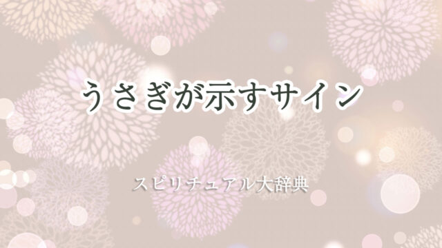 うさぎ スピリチュアル サイン