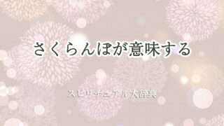 さくらんぼ スピリチュアル 意味