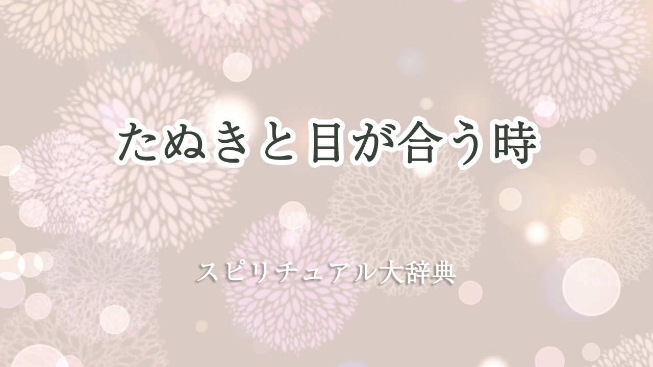 たぬき と 目 が 合う スピリチュアル