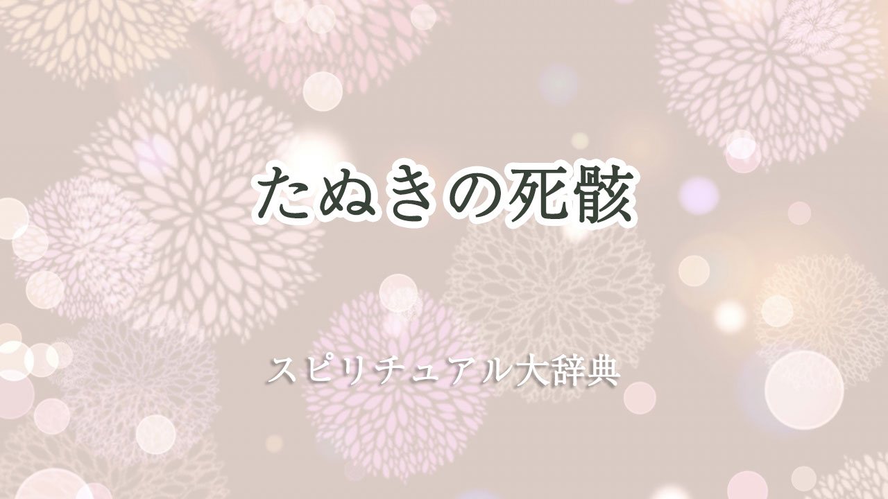 たぬき の 死骸 スピリチュアル