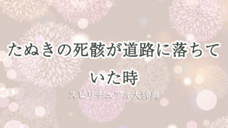たぬき の 死骸 道路 スピリチュアル