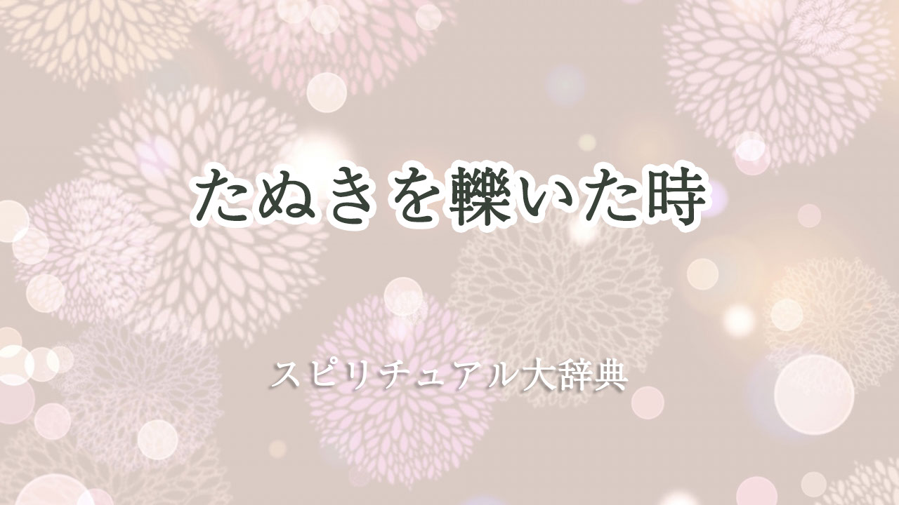 たぬきを轢いた時のスピリチュアルな意味とサイン