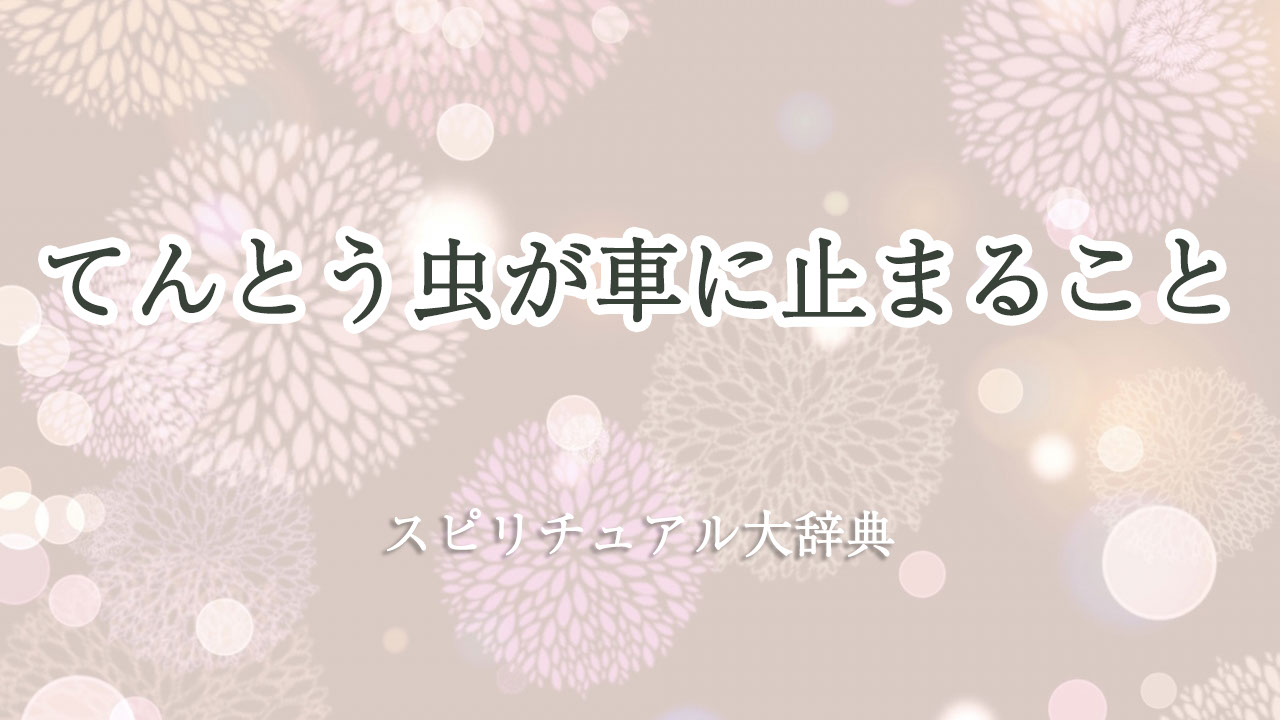 てんとう 虫 が 車 に 止まる スピリチュアル