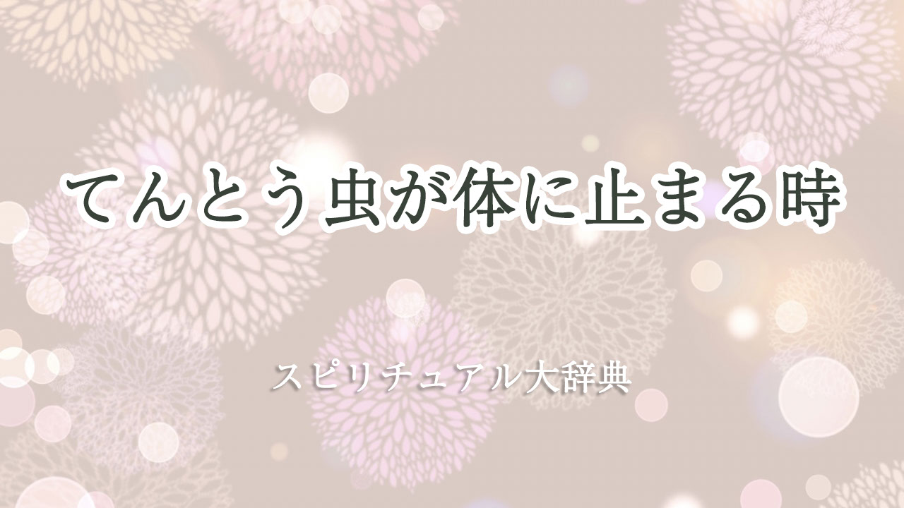 てんとう 虫 体 に 止まる スピリチュアル