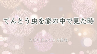 てんとう 虫 家 の 中 スピリチュアル