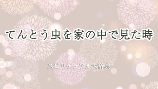 てんとう 虫 家 の 中 スピリチュアル