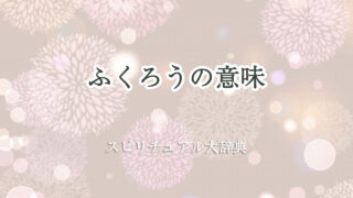 ふくろう スピリチュアル 意味