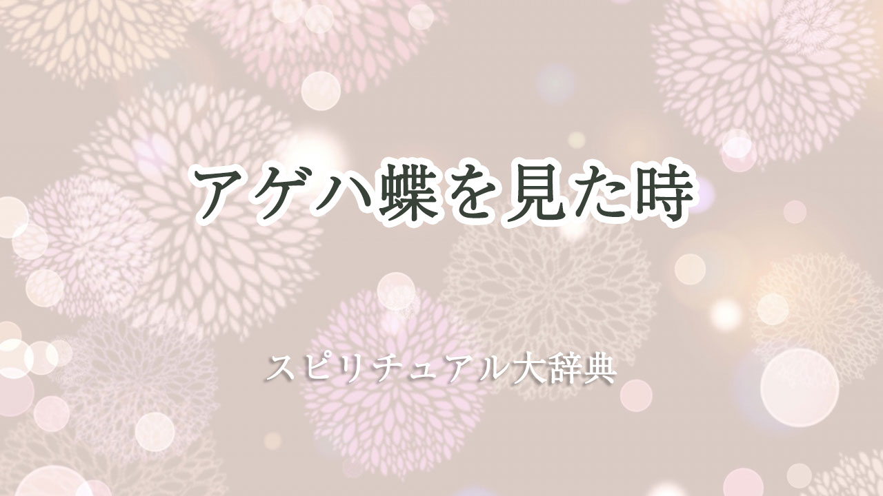 アゲハ 蝶 を 見 た スピリチュアル