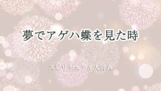 アゲハ 蝶 夢 スピリチュアル