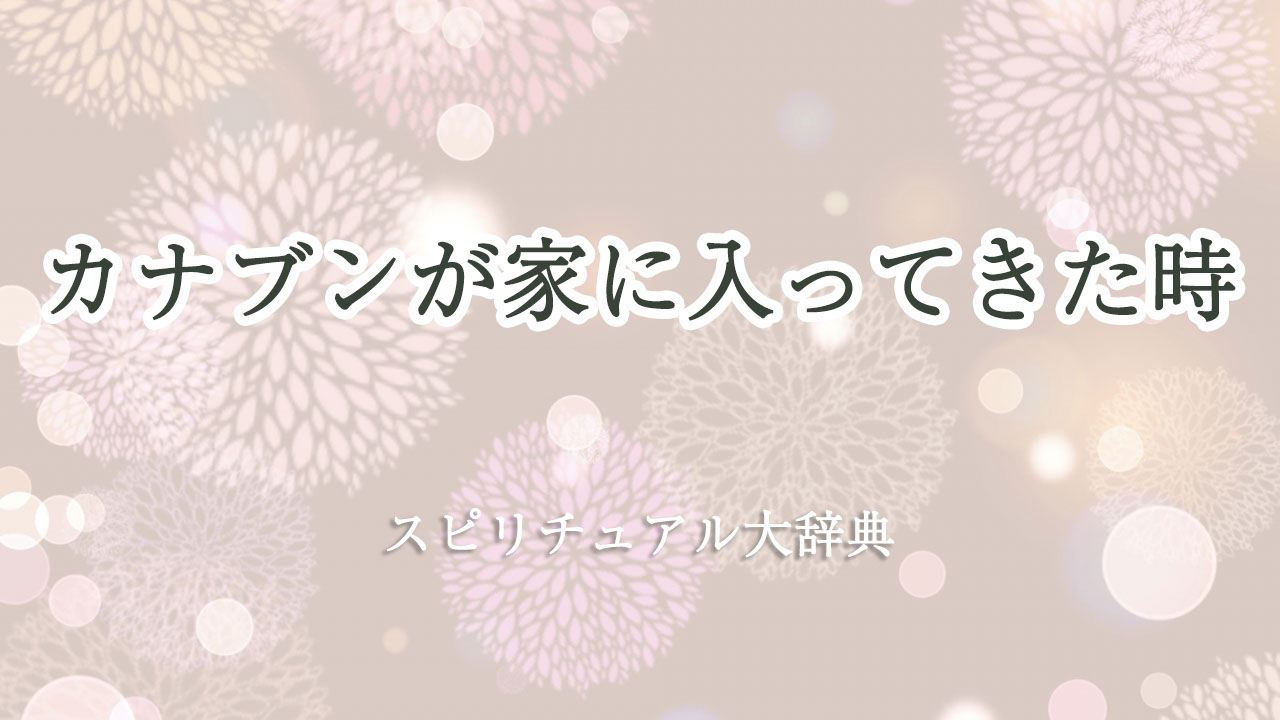 カナブン が 家 に 入っ てき た スピリチュアル