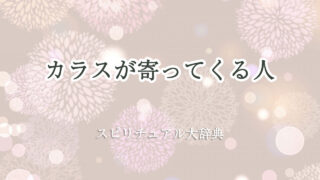 カラス が 寄っ て くる 人 スピリチュアル