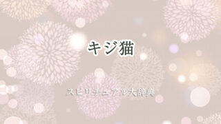 キジ 猫 スピリチュアル