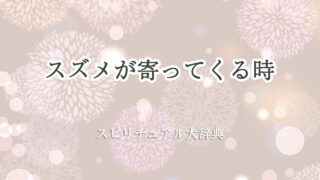 スズメ が 寄っ て くる スピリチュアル