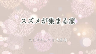 スズメ が 集まる 家 スピリチュアル