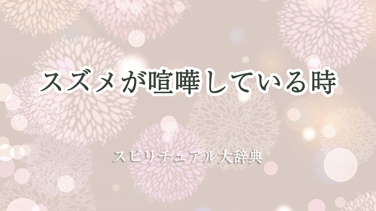 スズメ 喧嘩 スピリチュアル