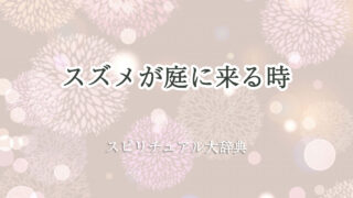 スズメ 庭 に 来る スピリチュアル