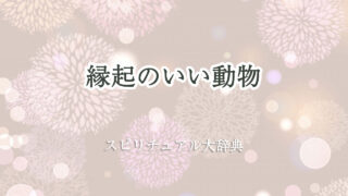 スピリチュアル 縁起 の いい 動物