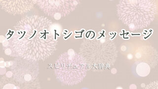 タツノオトシゴ スピリチュアル メッセージ