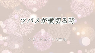 ツバメが横切る時のスピリチュアルな意味とサイン