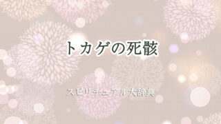 トカゲ の 死骸 スピリチュアル