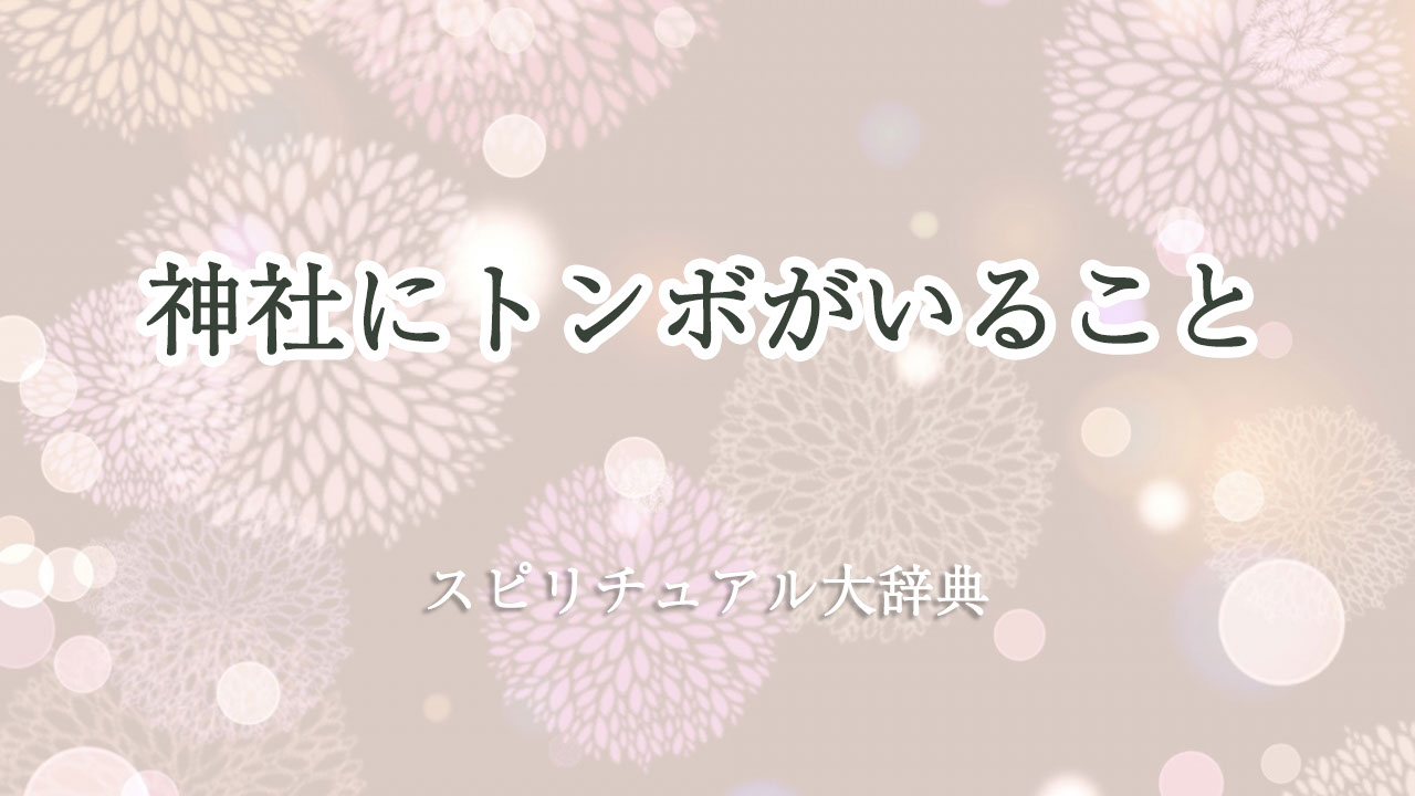 トンボ スピリチュアル 神社