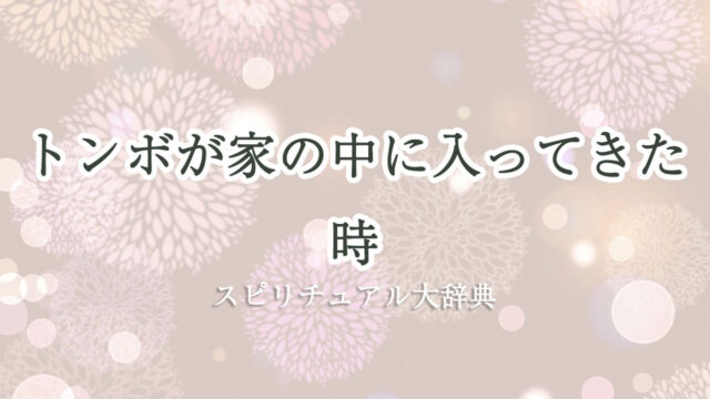 トンボ 家 の 中 に 入っ てき た スピリチュアル