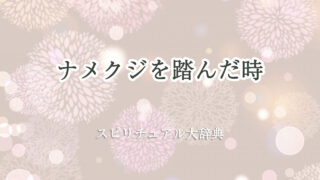 ナメクジ 踏ん だ スピリチュアル