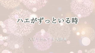ハエ が ずっと いる スピリチュアル