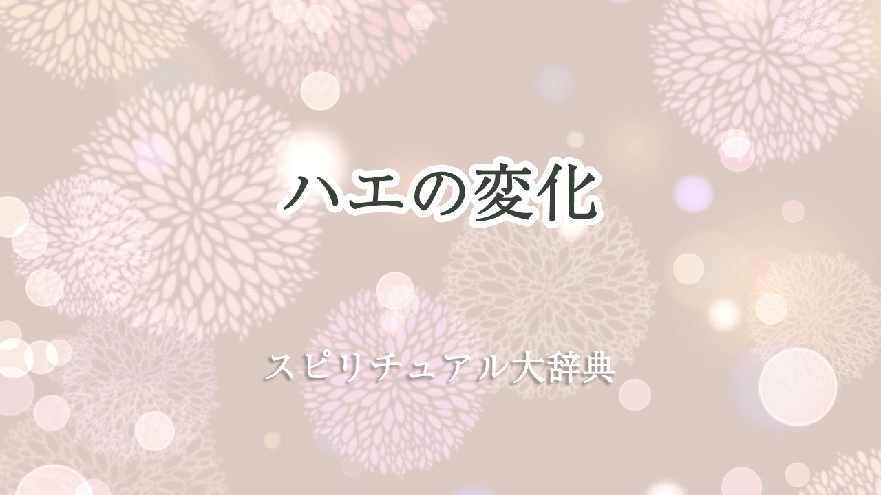 ハエ スピリチュアル 変化