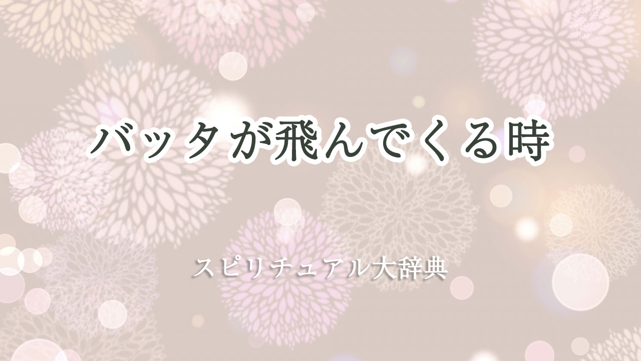 バッタ が 飛ん で くる スピリチュアル