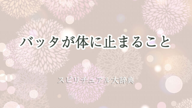 バッタ 体 に 止まる スピリチュアル