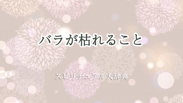 バラ が 枯れる スピリチュアル