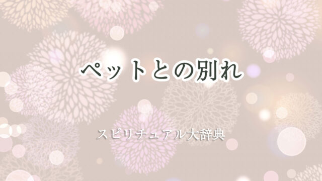 ペット と の 別れ スピリチュアル