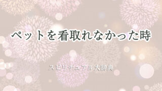 ペット 看 取れ なかっ た スピリチュアル