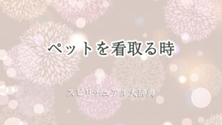 ペット 看取る スピリチュアル