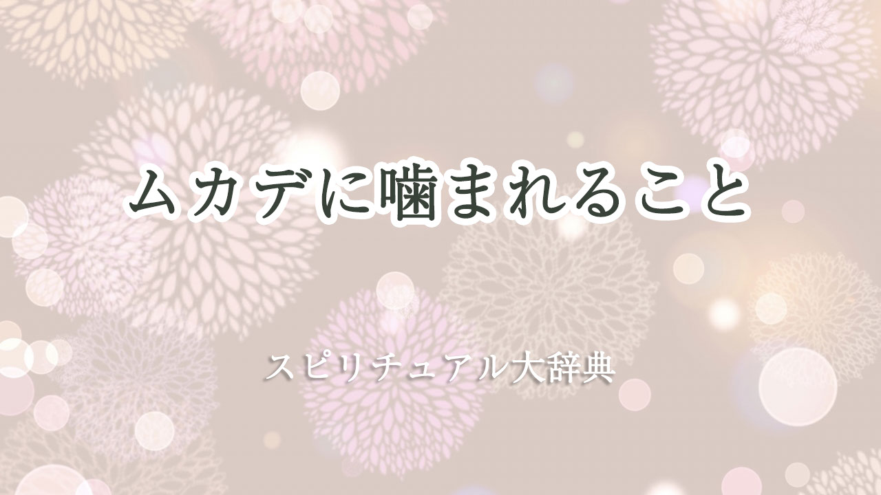 ムカデ に 噛ま れる スピリチュアル