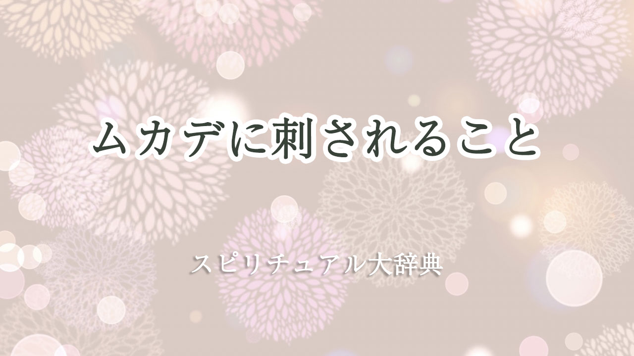 ムカデ 刺され る スピリチュアル