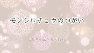 モンシロチョウ つがい スピリチュアル