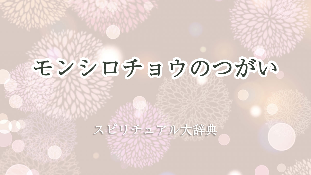 モンシロチョウ つがい スピリチュアル