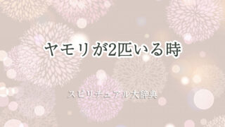 ヤモリ 2 匹 スピリチュアル