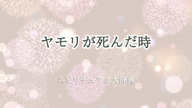 ヤモリ 死ん だ スピリチュアル