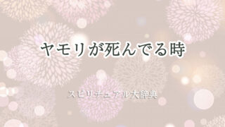 ヤモリが死んでる時のスピリチュアルな意味とサイン
