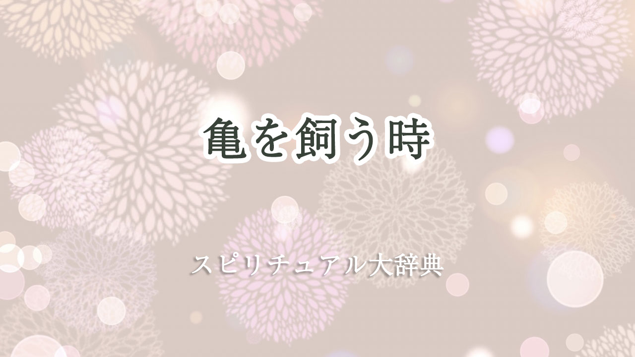 亀 を 飼う スピリチュアル