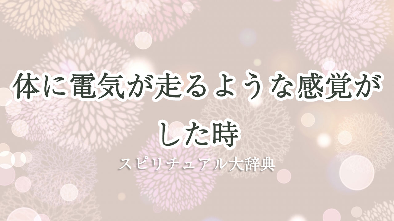 人間の体の細胞は毎日何個死滅するのでしょうか?