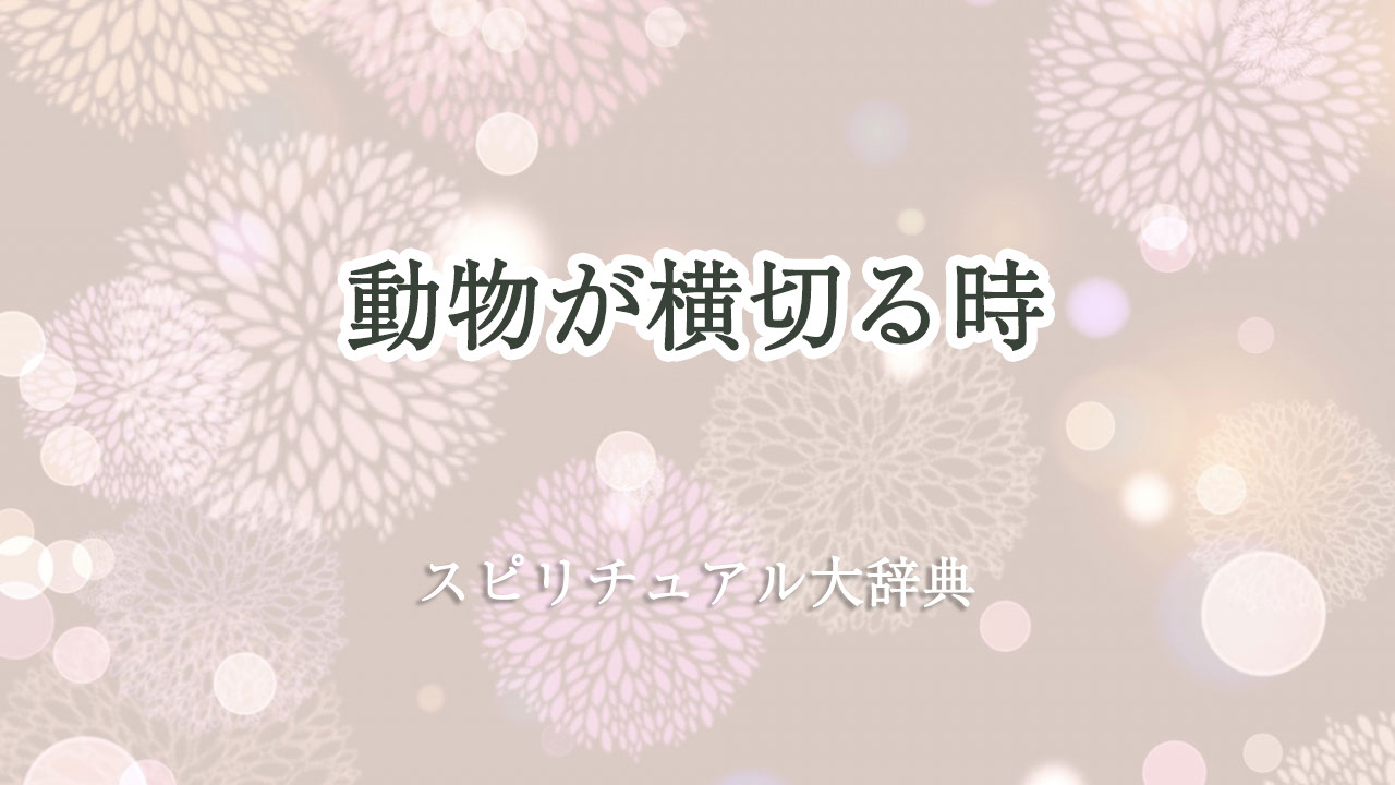 動物 が 横切る スピリチュアル