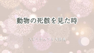 動物 の 死骸 見 た スピリチュアル