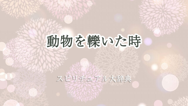 動物 を 轢い た スピリチュアル