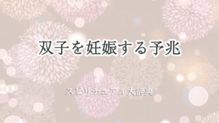 双子 妊娠 予兆 スピリチュアル