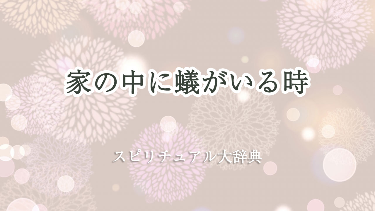 家 の 中 蟻 スピリチュアル